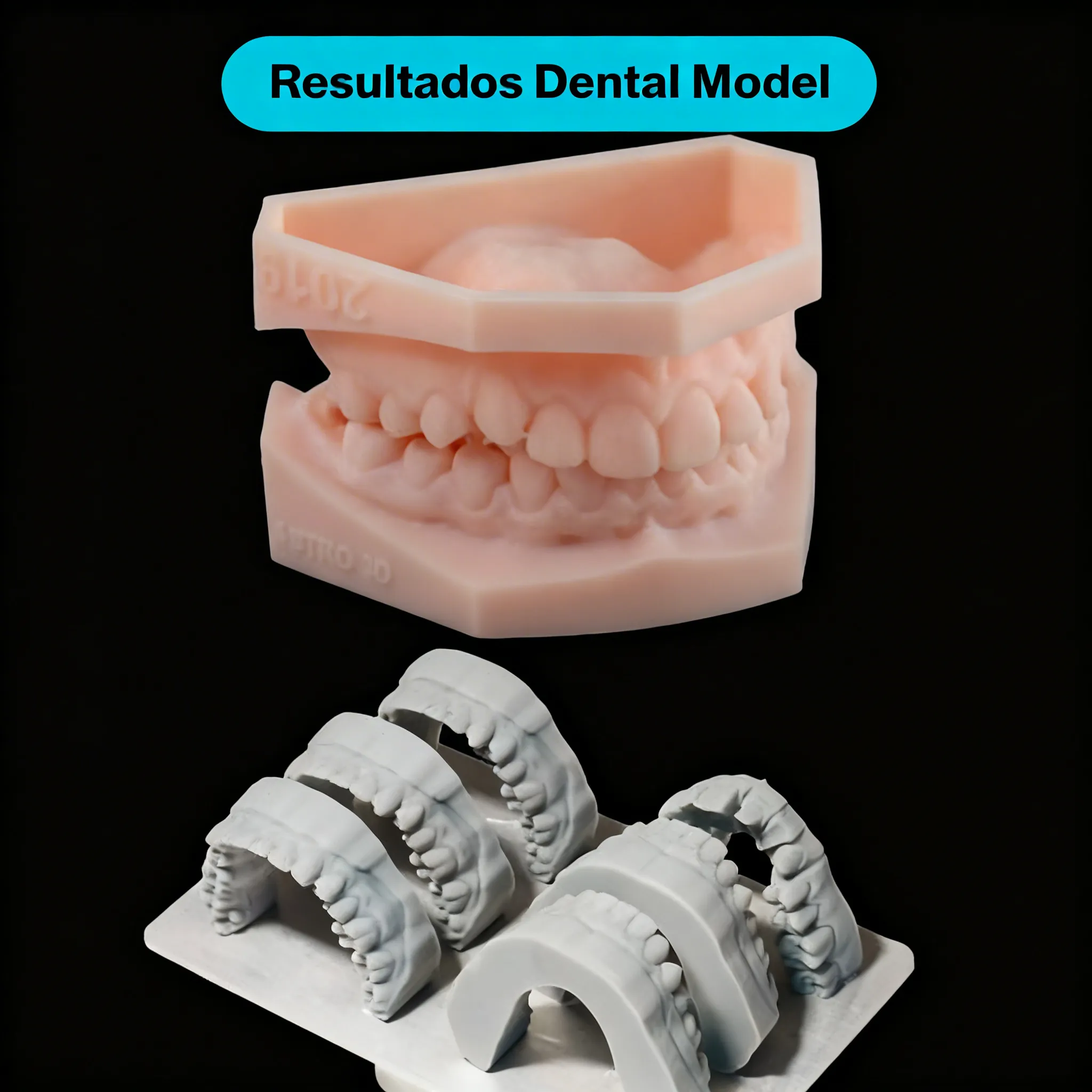 Resina 3D para modelos dentales - Model 2.0 Horus 3 Resina 3D para modelos dentales - Model 2.0 Horus - Imagen 3